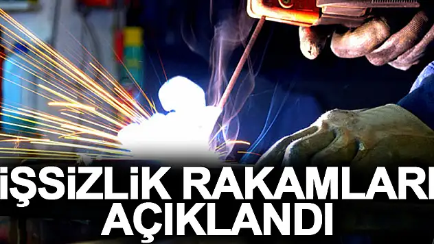 İşsizlik oranı Ekim ayında yüzde 10,2 oldu