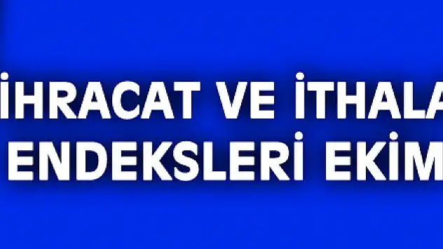 İhracat ve ithalat birim değer endeksleri Ekim ayında arttı