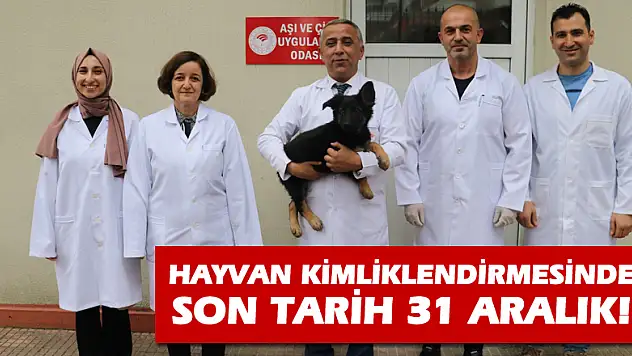 Hayvan kimliklendirmesinde son tarih 31 Aralık
