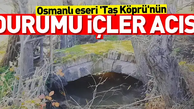 Osmanlı eseri 'Taş Köprü'nün durumu içler acısı