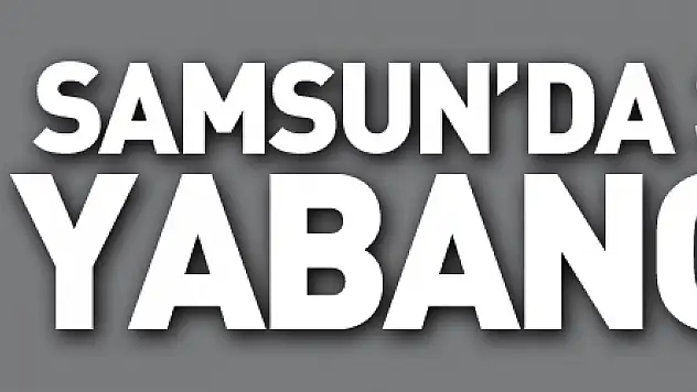 Samsun'da 39 bin 912 yabancı var