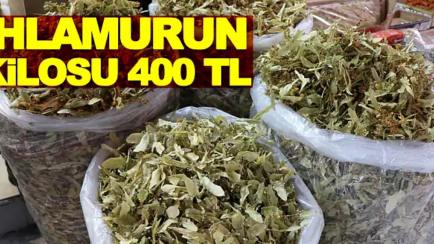 Ihlamurun kilosu 400 TL