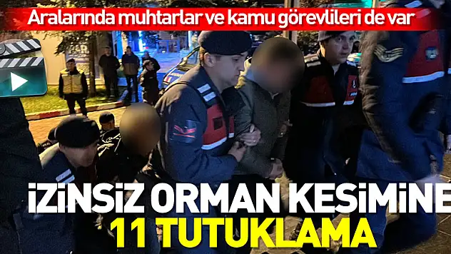 İzinsiz orman kesimine 11 tutuklama