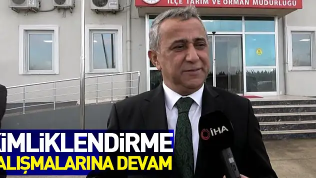 Samsun'da evcil hayvanların kimliklendirme çalışmaları sürüyor