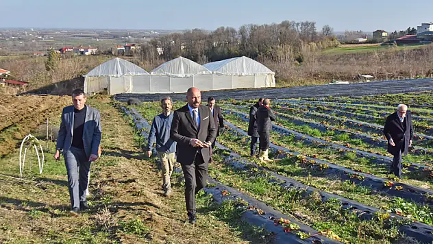 Tekkeköy'den çiftçiye sera desteği