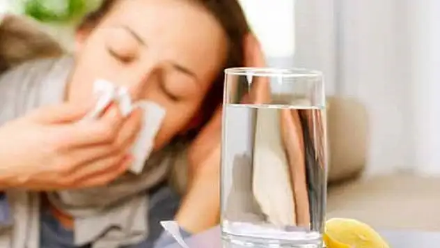 'Gribal enfeksiyonların artışı korkulacak boyutta değil'