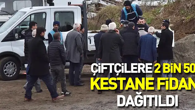 Çiftçilere 2 bin 500 kestane fidanı dağıtıldı