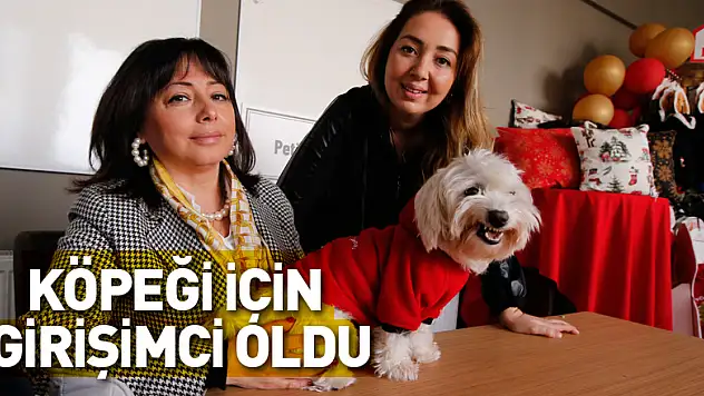 KÖPEĞİ İÇİN GİRİŞİMCİ OLDU