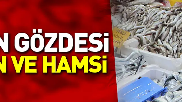 Balık tezgahlarının gözdesi mezgit, somon ve hamsi