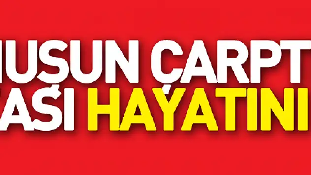 İndiği dolmuşun çarptığı diyaliz hastası hayatını kaybetti