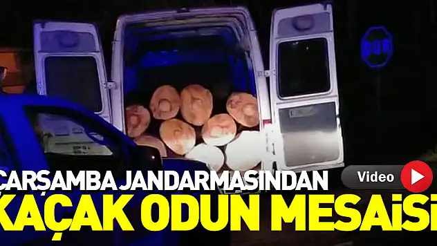 Çarşamba jandarmasından kaçak odun mesaisi!