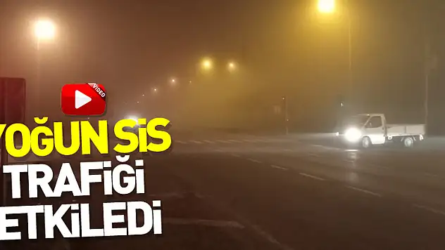 Yoğun sis trafiği etkiledi