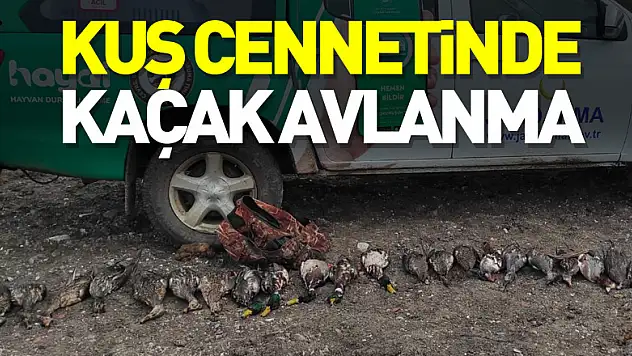 Kuş Cennetinde Kaçak Avlanma