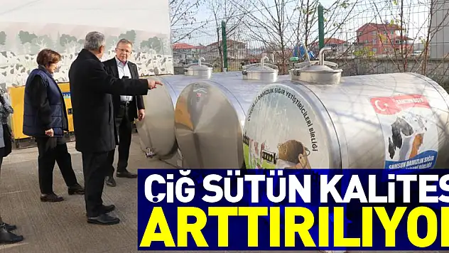 Samsun'da çiğ sütün kalitesi arttırılıyor