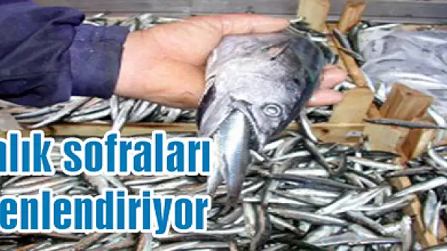 Balık sofraları şenlendiriyor