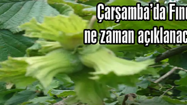 Çarşamba'da Fındık ne zaman açıklanacak?