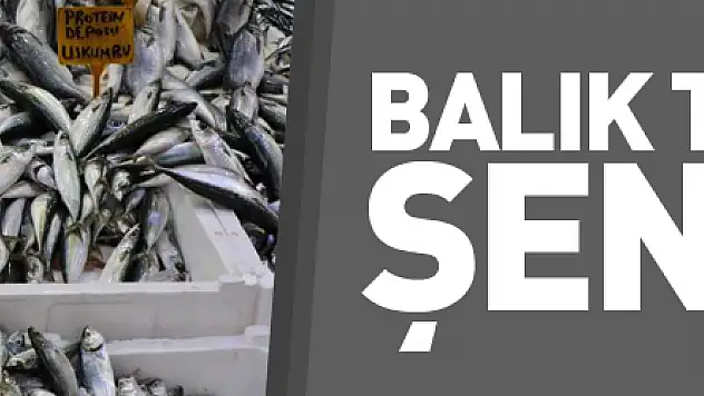 Havalar soğudu, balık tezgahları şenlendi