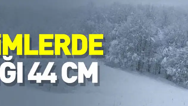 Samsun'un yüksek kesimlerinde kar kalınlığı 44 cm