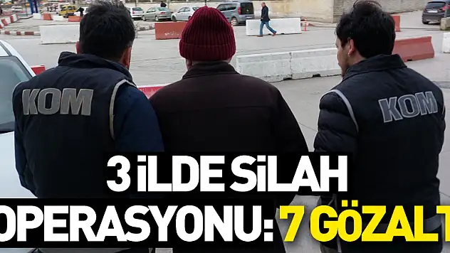 Samsun merkezli 3 ilde silah operasyonu: 7 gözaltı
