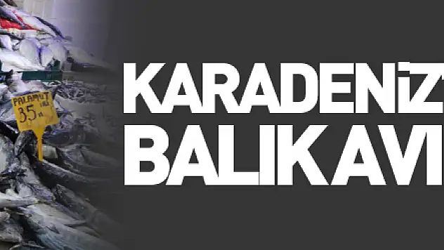 Karadeniz'deki fırtına balık avını aksattı, tezgahlar buzhane balıklarına kaldı