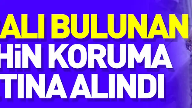 Havza'da yaralı bulunan şahin koruma altına alındı