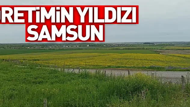 Türkiye'de tarımsal üretimin yıldızı Samsun: Birçok üründe ilk sırada