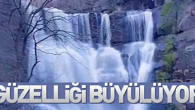Güzelliği Büyülüyor