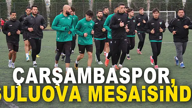 Çarşambaspor, Suluova Mesaisinde