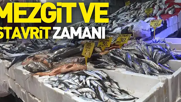 Hamside son günler, şimdi mezgit ve istavrit zamanı