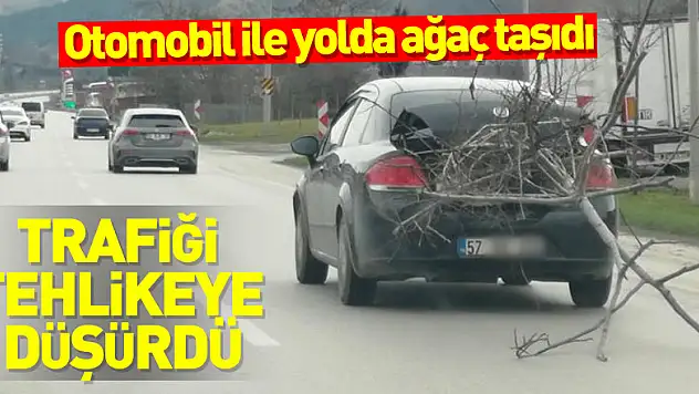 Otomobil ile yolda ağaç taşıdı, trafiği tehlikeye düşürdü