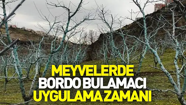 Meyvelerde bordo bulamacı uygulama zamanı