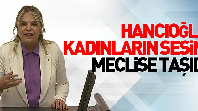 Hancıoğlu, kadınların sesini Meclise taşıdı