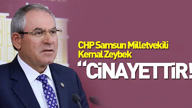 ZEYBEK 'CİNAYETTİR!'
