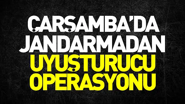Jandarmadan uyuşturucu operasyonu