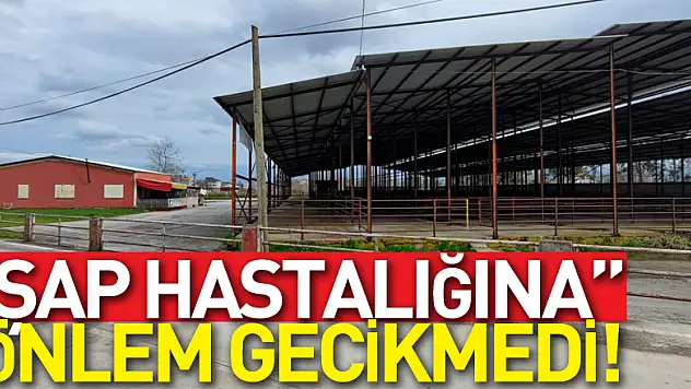 'ŞAP HASTALIĞINA' ÖNLEM GECİKMEDİ!