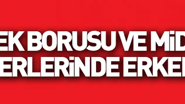 Yemek borusu ve mide-bağırsak kanserlerinde erken tanı önemli