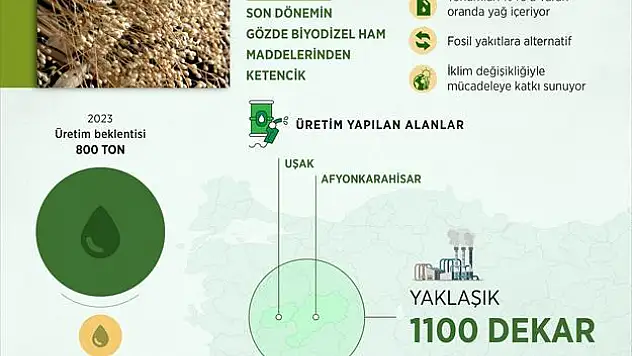 Biyodizel'de 'Ketencik' alternatifi