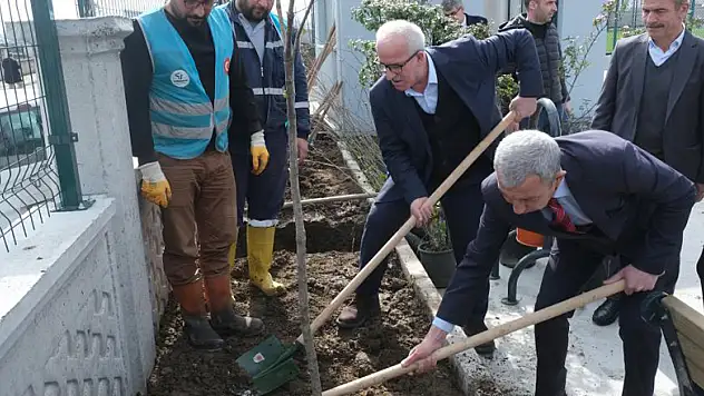 Tekkeköy'de binlerce fidan toprakla buluştu