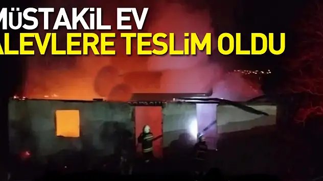 Müstakil ev alevlere teslim oldu