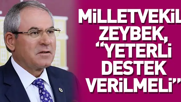 Milletvekili Zeybek, 'Yeterli destek verilmeli'