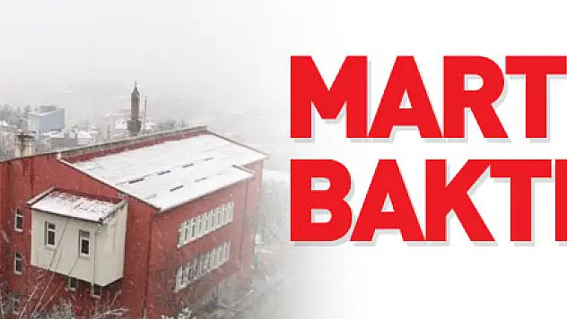 Mart kapıdan baktırdı: Kavak beyaza büründü