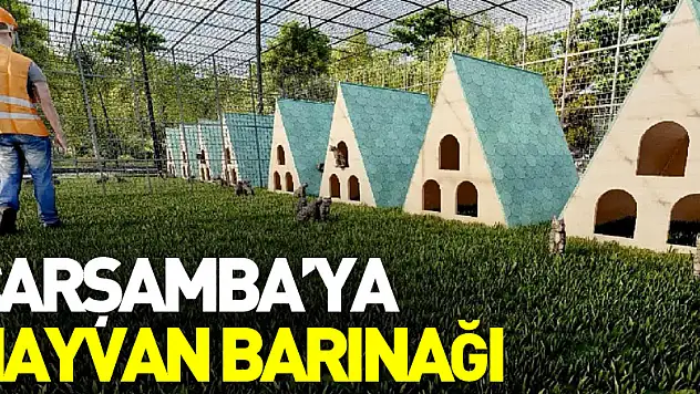 Çarşamba'ya Hayvan Barınağı