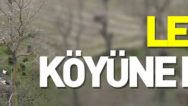 Leylekler köyüne dönüyor
