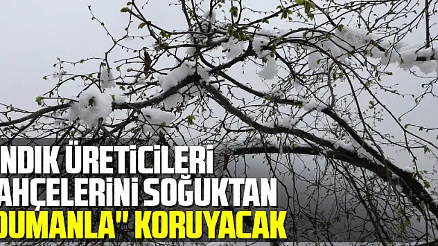 Fındık üreticileri bahçelerini soğuktan 'dumanla' koruyacak