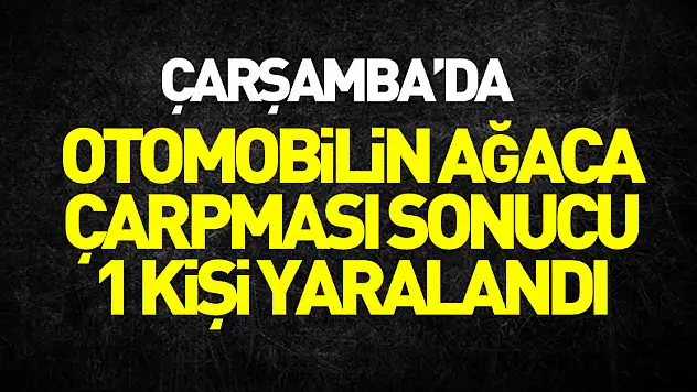 Otomobilin ağaca çarpması sonucu 1 kişi yaralandı