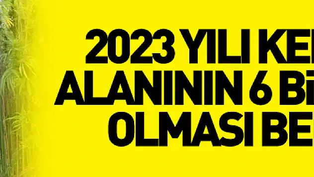 2023 yılı kenevir ekim alanının 6 bin 500 dekar olması bekleniyor
