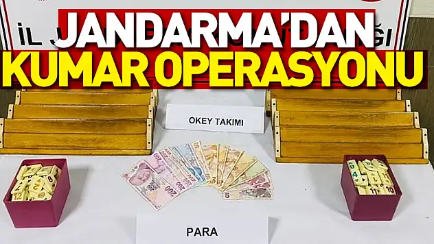 Jandarma'dan kumar operasyonu
