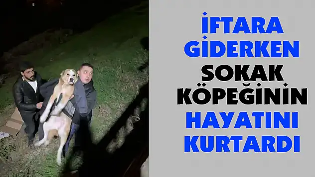 İftara giderken sokak köpeğinin hayatını kurtardı
