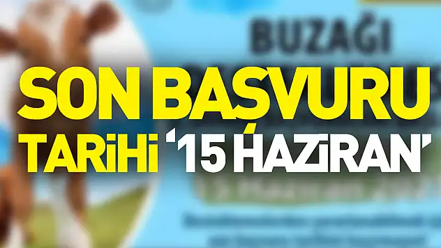Son Başvuru Tarihi '15 Haziran'