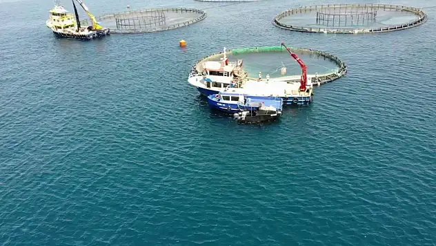 Su ürünleri ihracatından 1,7 milyar dolar gelir elde edildi